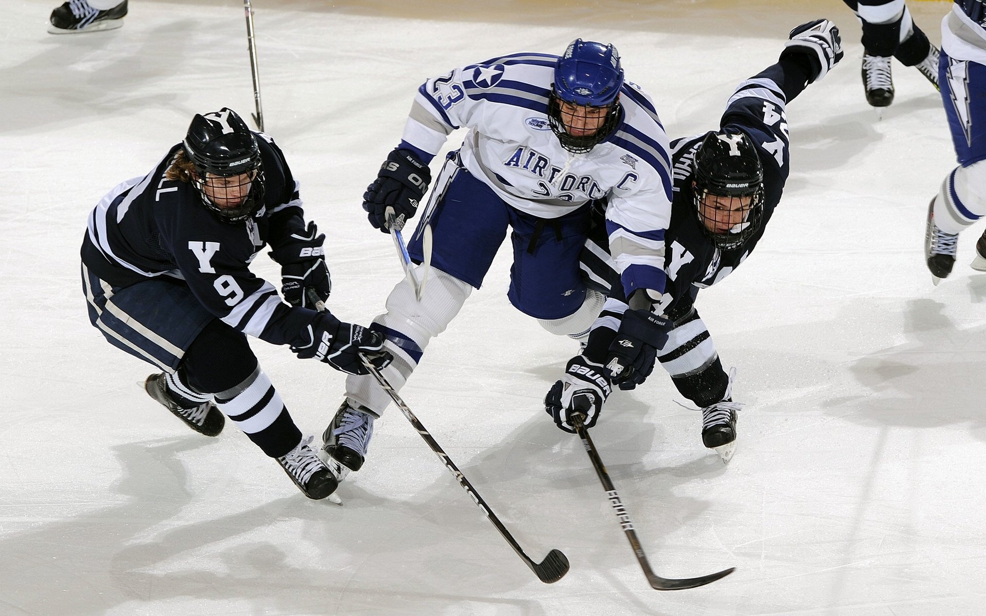 Popovici两次登顶，罗队获关注焦点，pop2.5罗