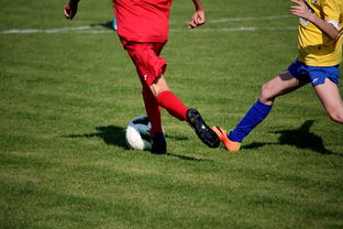 开云官方网页登录-国家女篮训练日程公开每日训练内容紧张高效，国家队女篮在哪里训练